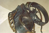 Figure 10 - Pieces of internal roller bearing parts